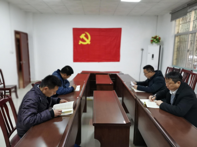 湖南鸟儿巢水电站发电有限买球体育(中国)官方网站党支部正式成立